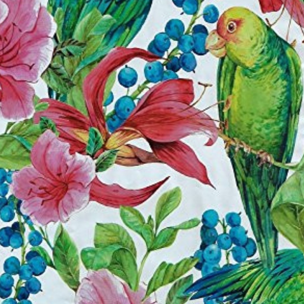 50 10X13 Tropical Bird Poly Mailers - Picture 2 of 4